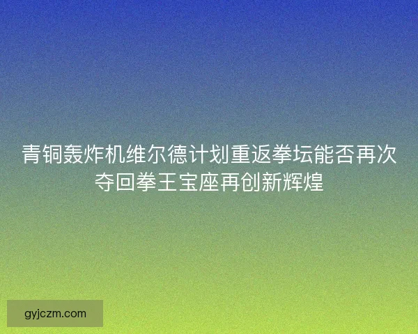 青铜轰炸机维尔德计划重返拳坛能否再次夺回拳王宝座再创新辉煌