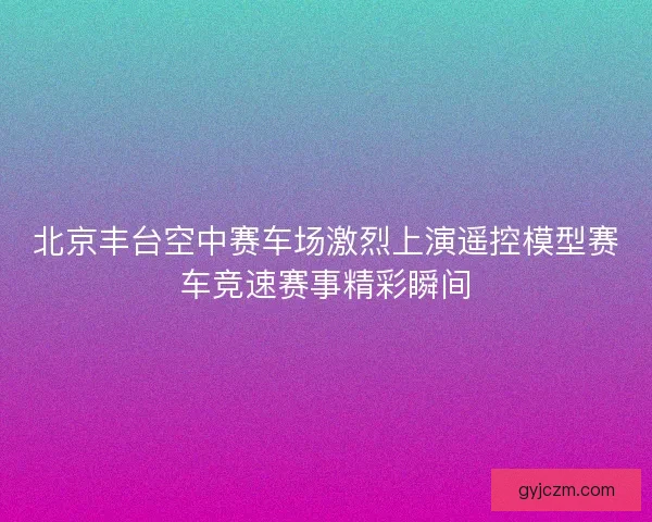 北京丰台空中赛车场激烈上演遥控模型赛车竞速赛事精彩瞬间