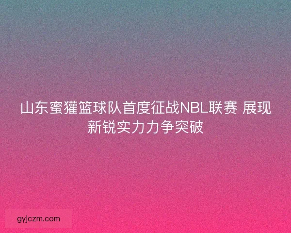 山东蜜獾篮球队首度征战NBL联赛 展现新锐实力力争突破